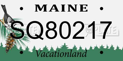 SQ80217 Maine License Plate