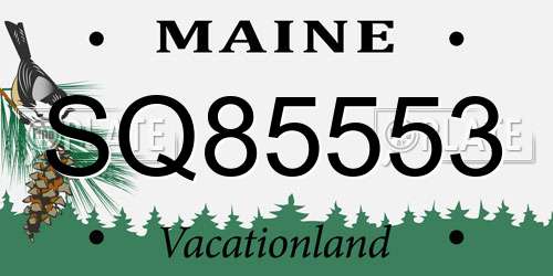 SQ85553 Maine License Plate