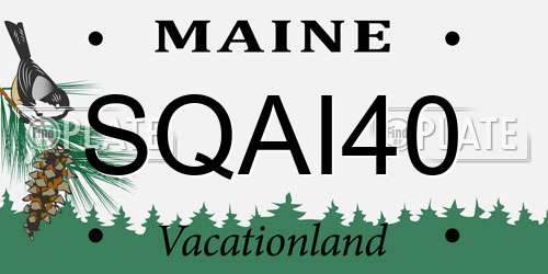 SQAI40 Maine License Plate