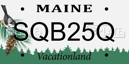 SQB25Q Maine License Plate