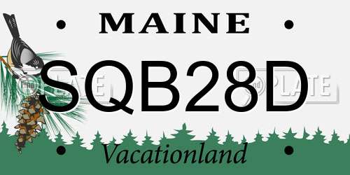 SQB28D Maine License Plate