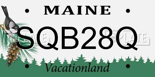 SQB28Q Maine License Plate