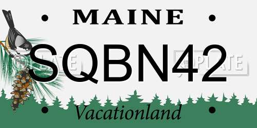 SQBN42 Maine License Plate