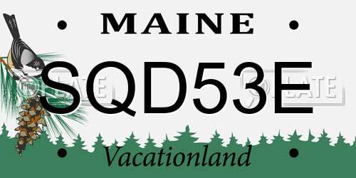 SQD53E Maine License Plate