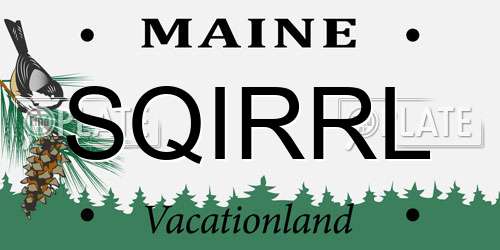 SQIRRL Maine License Plate