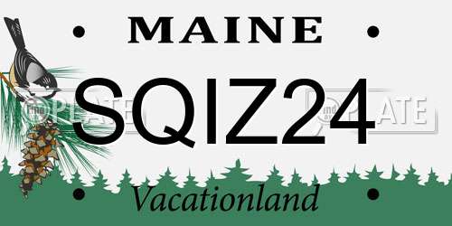 SQIZ24 Maine License Plate