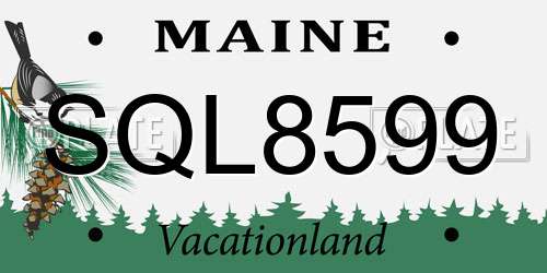 SQL8599 Maine License Plate