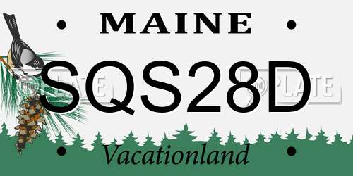 SQS28D Maine License Plate