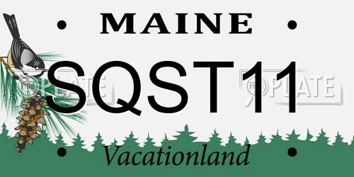 SQST11 Maine License Plate