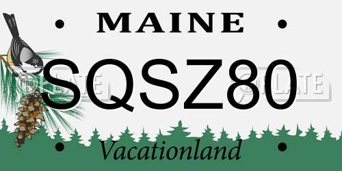 SQSZ80 Maine License Plate