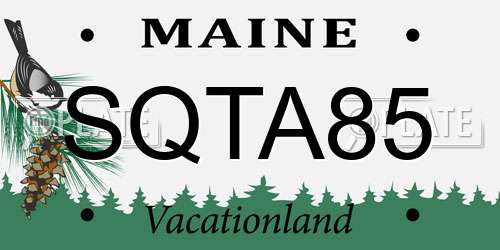 SQTA85 Maine License Plate