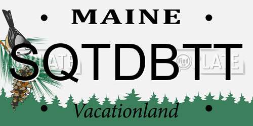 SQTDBTT Maine License Plate