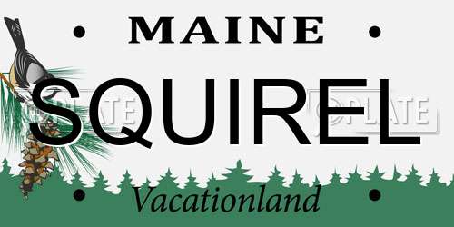 SQUIREL Maine License Plate