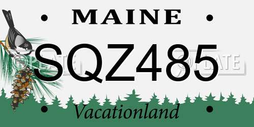 SQZ485 Maine License Plate