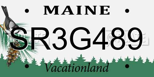 SR3G489 Maine License Plate