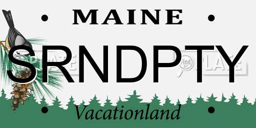 SRNDPTY Maine License Plate