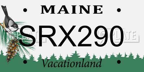 SRX290 Maine License Plate