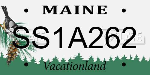 SS1A262 Maine License Plate