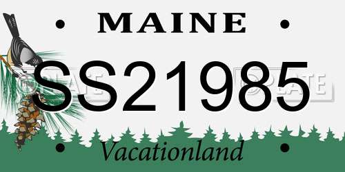SS21985 Maine License Plate