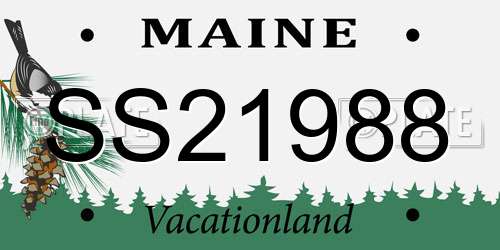 SS21988 Maine License Plate
