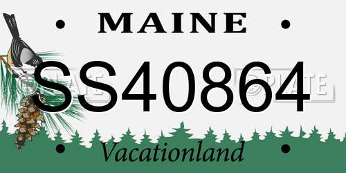 SS40864 Maine License Plate