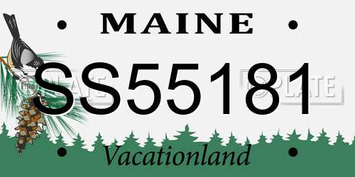SS55181 Maine License Plate
