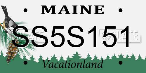 SS5S151 Maine License Plate