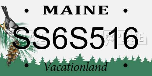 SS6S516 Maine License Plate