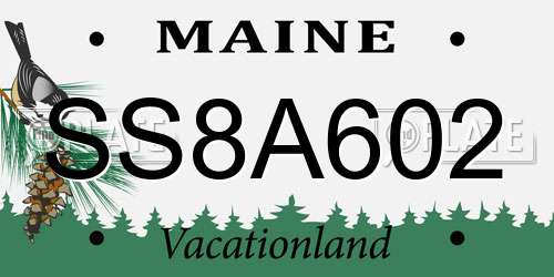 SS8A602 Maine License Plate