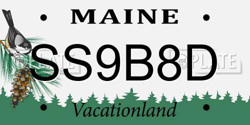 SS9B8D Maine License Plate