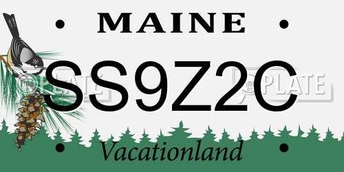 SS9Z2C Maine License Plate