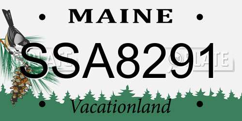 SSA8291 Maine License Plate