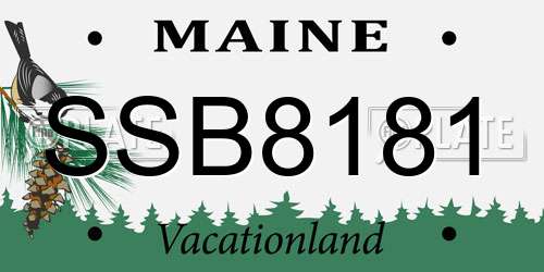 SSB8181 Maine License Plate
