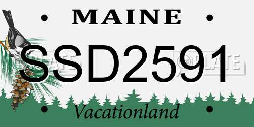 SSD2591 Maine License Plate