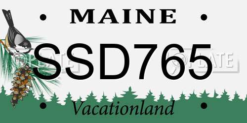 SSD765 Maine License Plate
