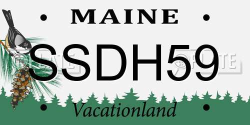 SSDH59 Maine License Plate