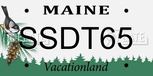 SSDT65 Maine License Plate
