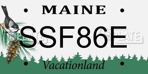 SSF86E Maine License Plate