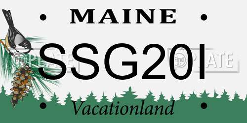 SSG20I Maine License Plate