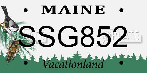 SSG852 Maine License Plate