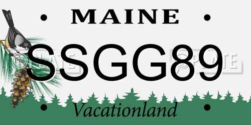 SSGG89 Maine License Plate