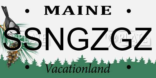 SSNGZGZ Maine License Plate