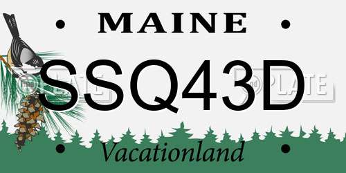 SSQ43D Maine License Plate