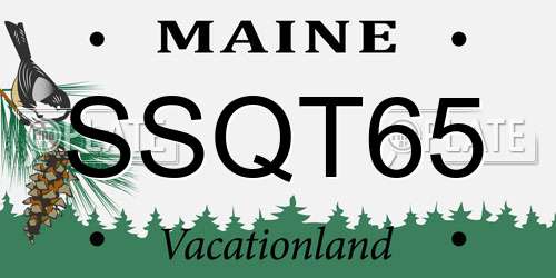 SSQT65 Maine License Plate
