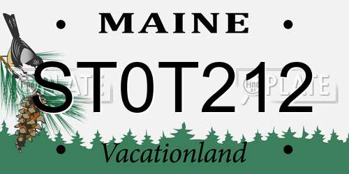 ST0T212 Maine License Plate