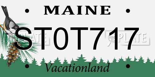 ST0T717 Maine License Plate