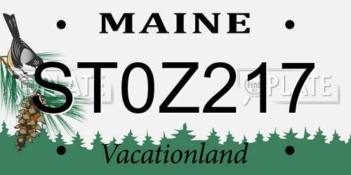 ST0Z217 Maine License Plate