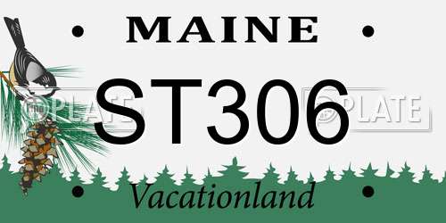 ST306 Maine License Plate