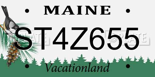 ST4Z655 Maine License Plate
