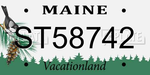 ST58742 Maine License Plate